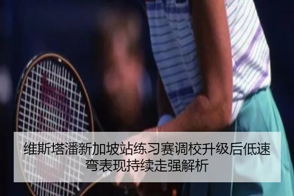 维斯塔潘新加坡站练习赛调校升级后低速弯表现持续走强解析